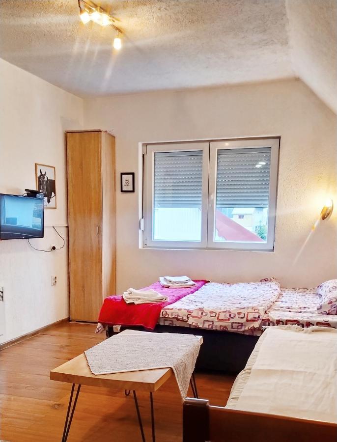 Apartmani Bozana Vojinovic Žabljak Exteriér fotografie